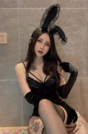 免费网剧电视剧